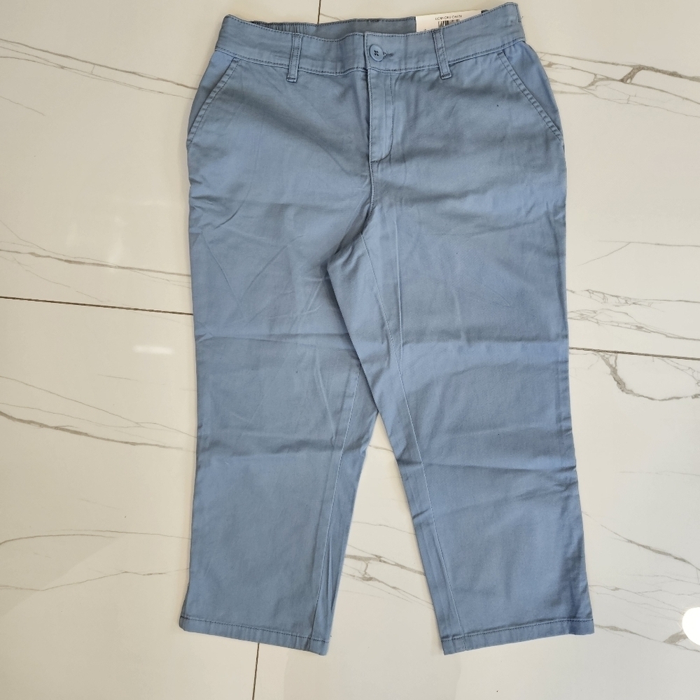 Style & Co. Blue Chinos Jeans Size 4P